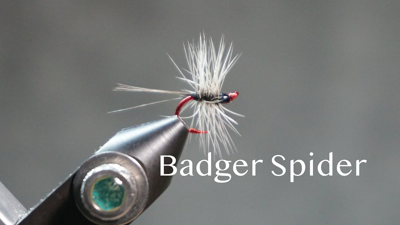 Badger Spider