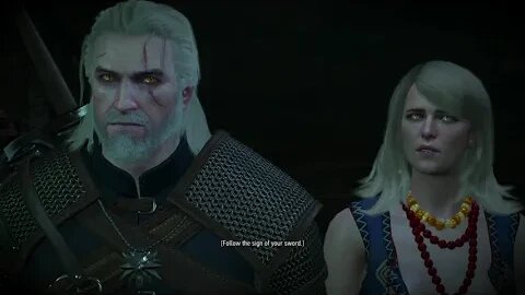 THE WITCHER 3 WILD HUNT Part 17