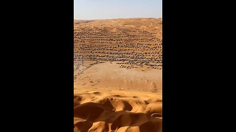 Desert Safari Dubai on UAE 🇦🇪 National Day