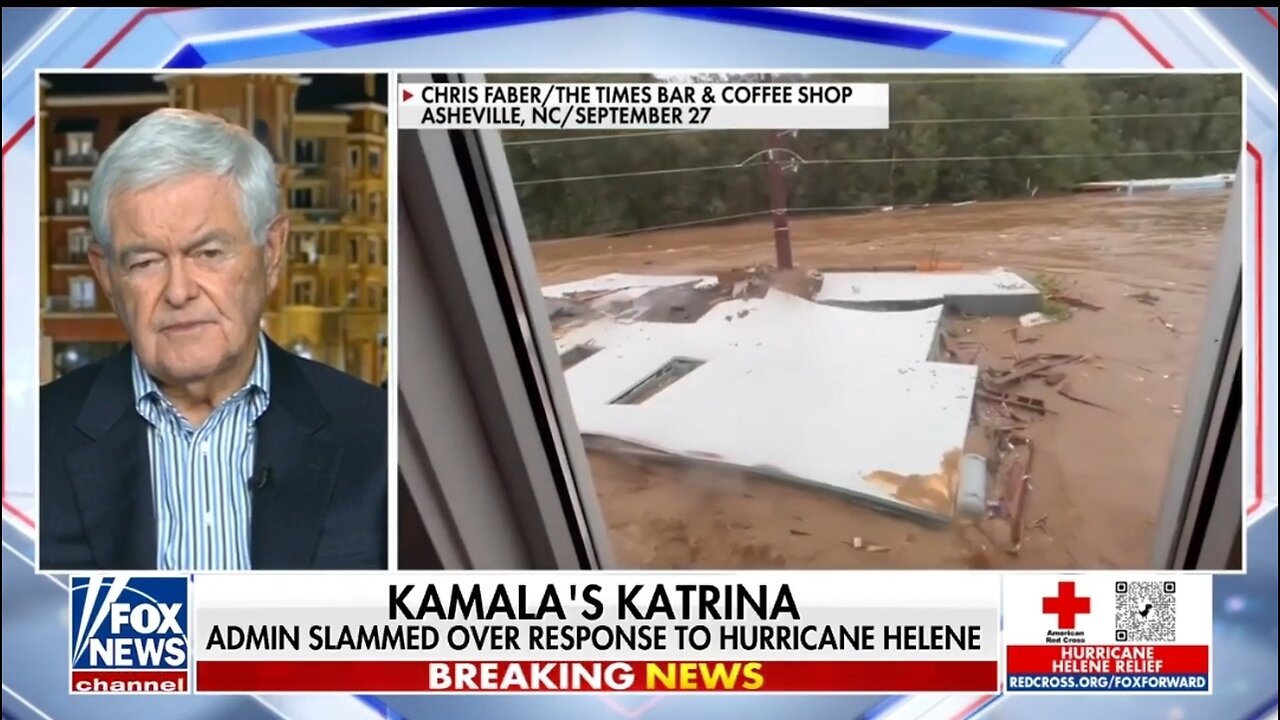 You're Watching The Federal Government Fail: Newt Gingrich