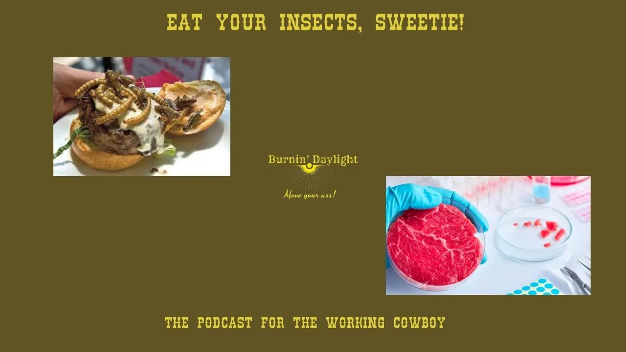 Eat Your Insects, Sweetie!