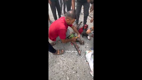 Ennesimo attacco ad una scuola a Gaza. Dio stramaledica israele.