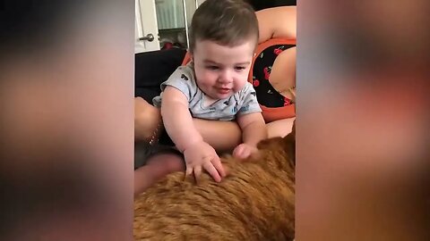 Cutest Babies Play With Dogs And Cats Compilation Cool Peachy