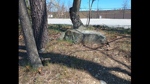 Critical of Israel age 5, Rock I sit on now to be removed?