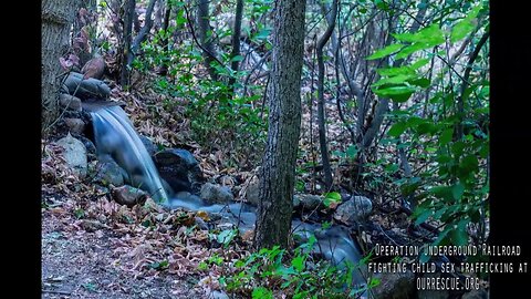 Waterfall and light timelapse. Support Operation Underground Railroad.