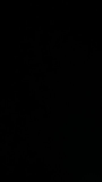 Pet vaccinations and microchips