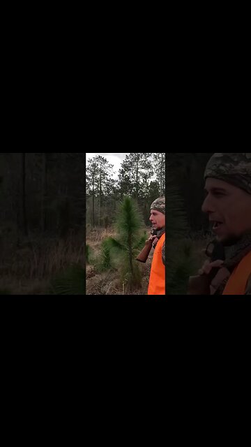 Running Rabbits with Beagles!