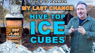 Last Chance - Preventing Hive-top Ice Cubes | 29F outside.