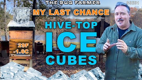 Last Chance - Preventing Hive-top Ice Cubes | 29F outside.