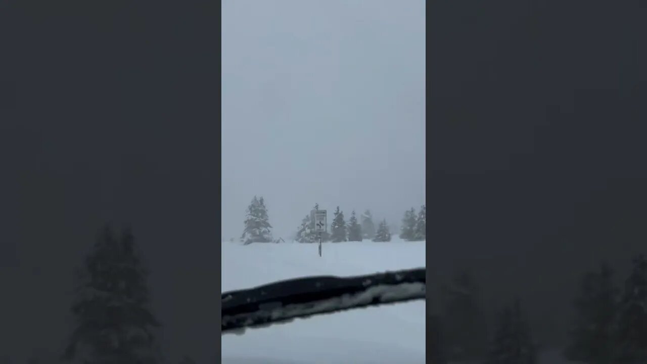 The train of vehicles heading up the mountain for a day in the powder!