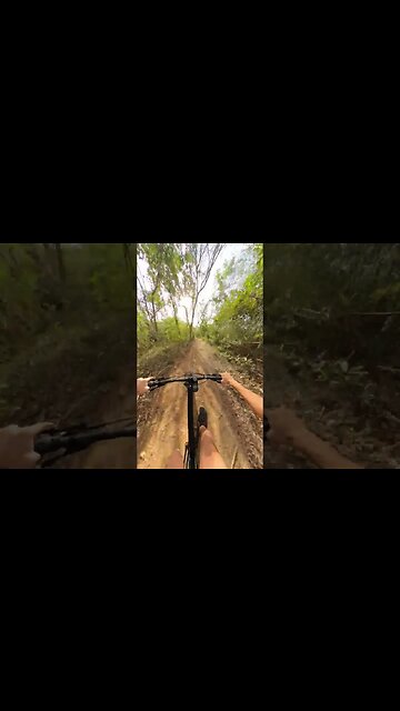 Bumpy Downhill MTB Ride POV | Bite Mount