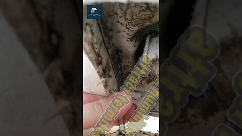 This is how hiring cheap painters can decrease bathroom ventilation