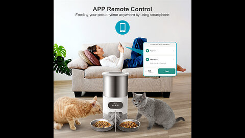 Smart Automatic Cat Feeder - 6-L Reliable Cat Food Dispenser with Display LCD Screen for Easy S...