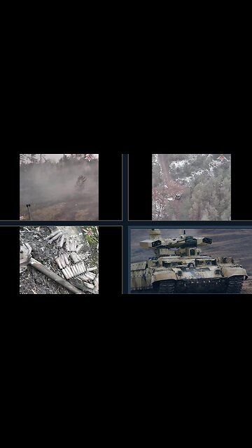 DENAZIFIED BY THE BMPT TERMINATOR