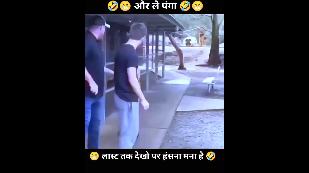 best Fight