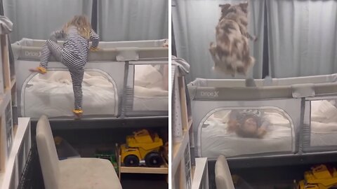 Dog Hilariously Jumps Into Little Girl's Crib