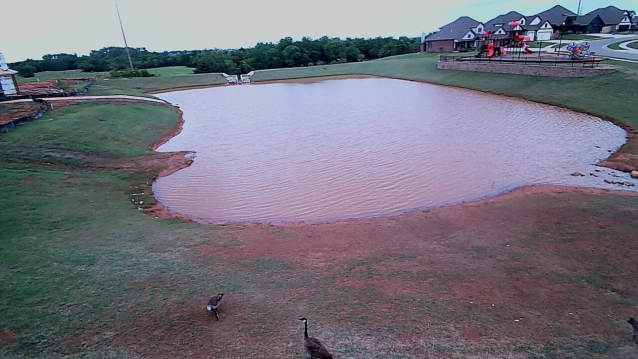 The Pond