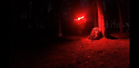 Pitting on my 35KG Bergen . Woodland. Nightlapse. 22nd Jan 2023