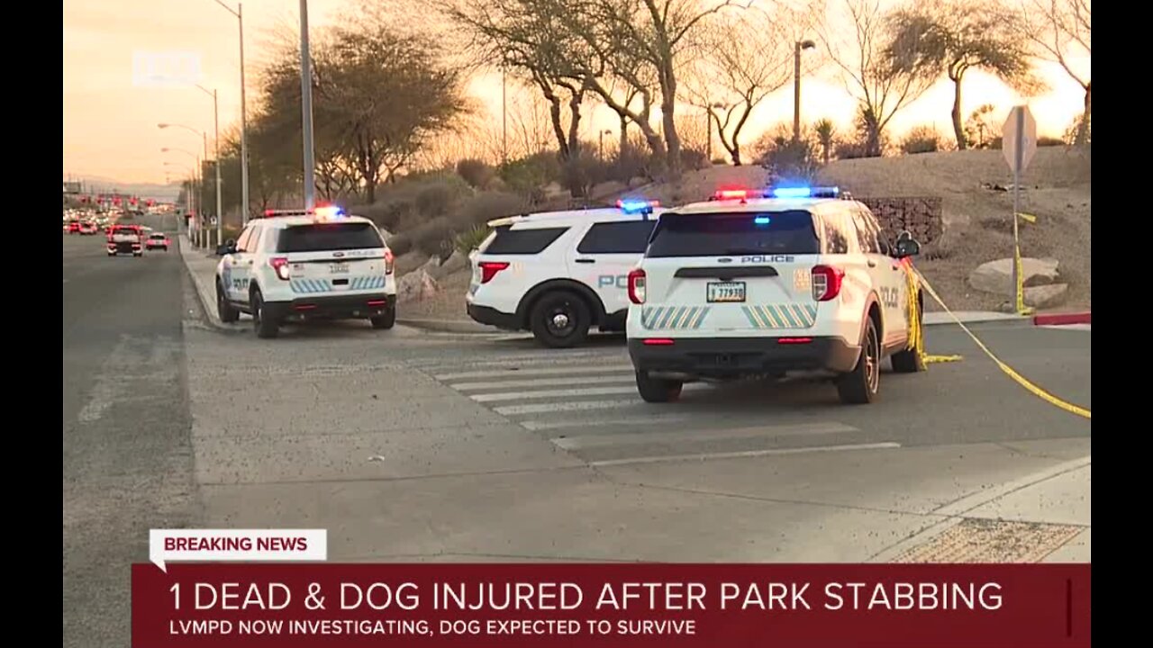 Man and dog stabbed in altercation at Las Vegas park
