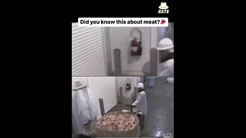 THE GREAT AWAKENING 👍