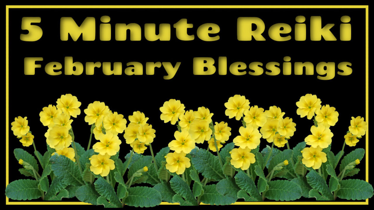 Reiki l 5 Minute Session l Blessings For February