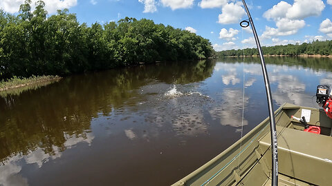 Mid summer river fishing