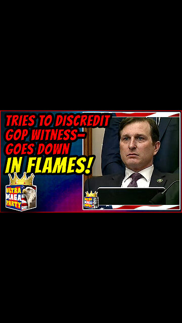 DEM HACK TRIES TO DISCREDIT FBI WITNESS—GOES DOWN IN FLAMES!