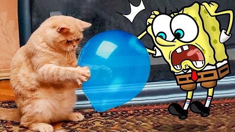 Heyyy! Don't blow up the balloon 😾🐶