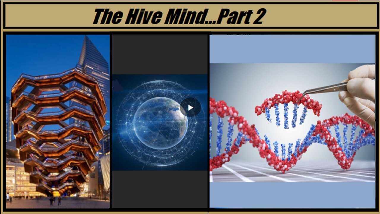 "The Hive Mind" Part 2.......with brother Dan