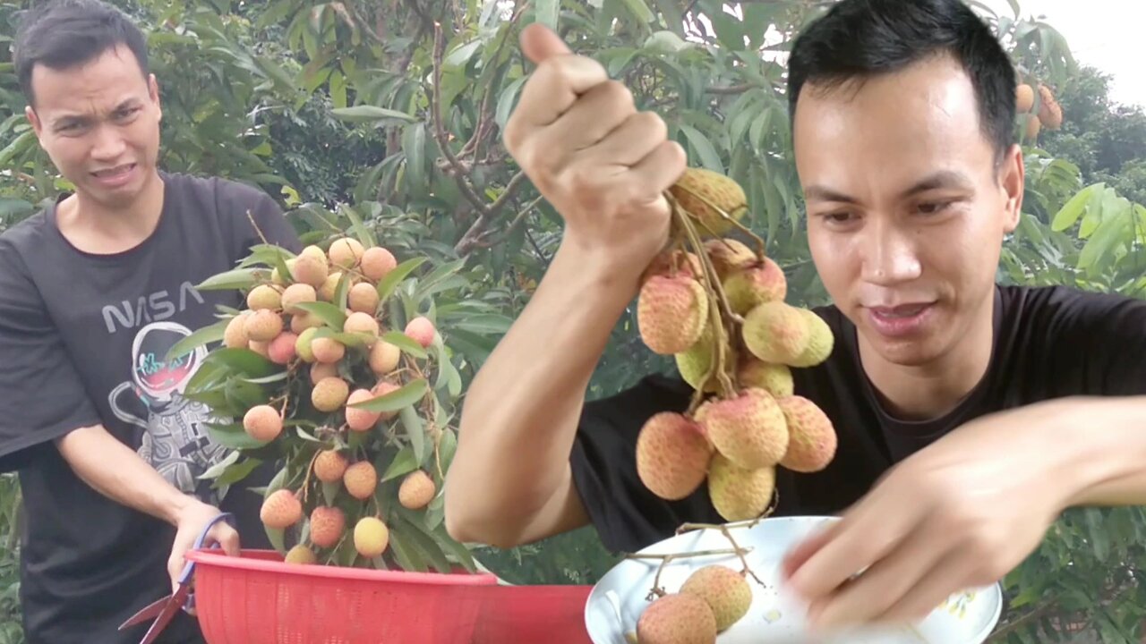 Enjoy the first lychees of the season