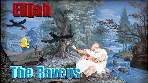 Dr. Derek Thomas-Elijah fed by ravens