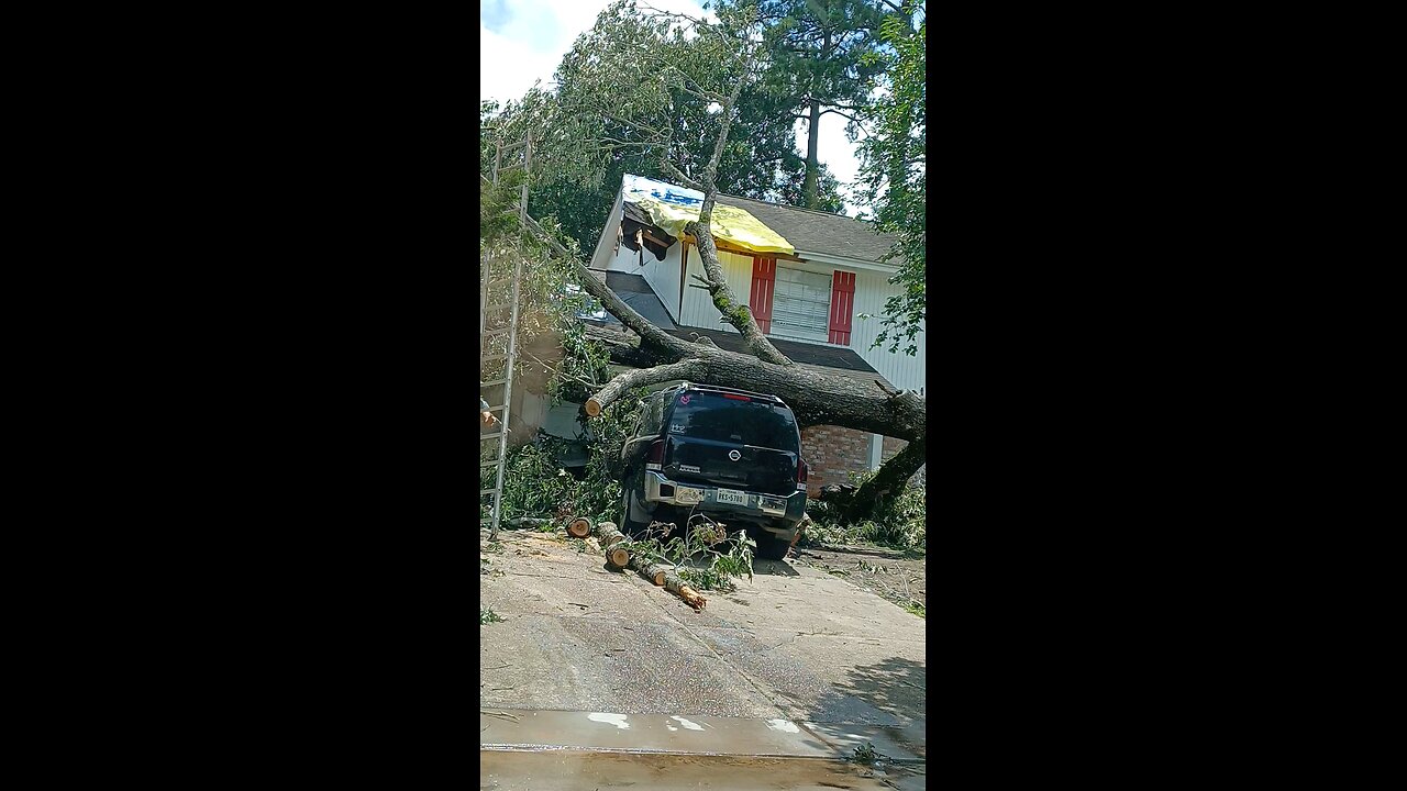 Tree coming down off the house and vehicles