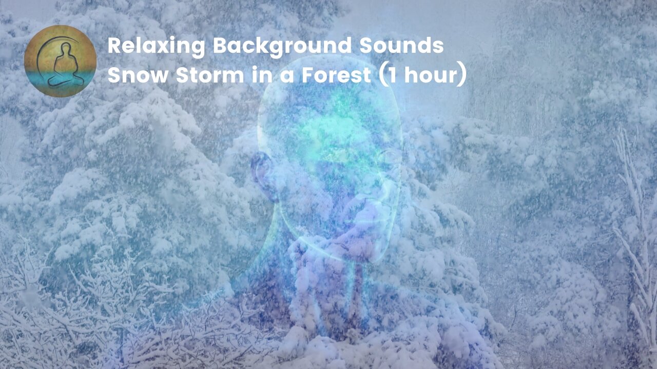 Background Sounds - Snow Storm in a Forest (1 hour)