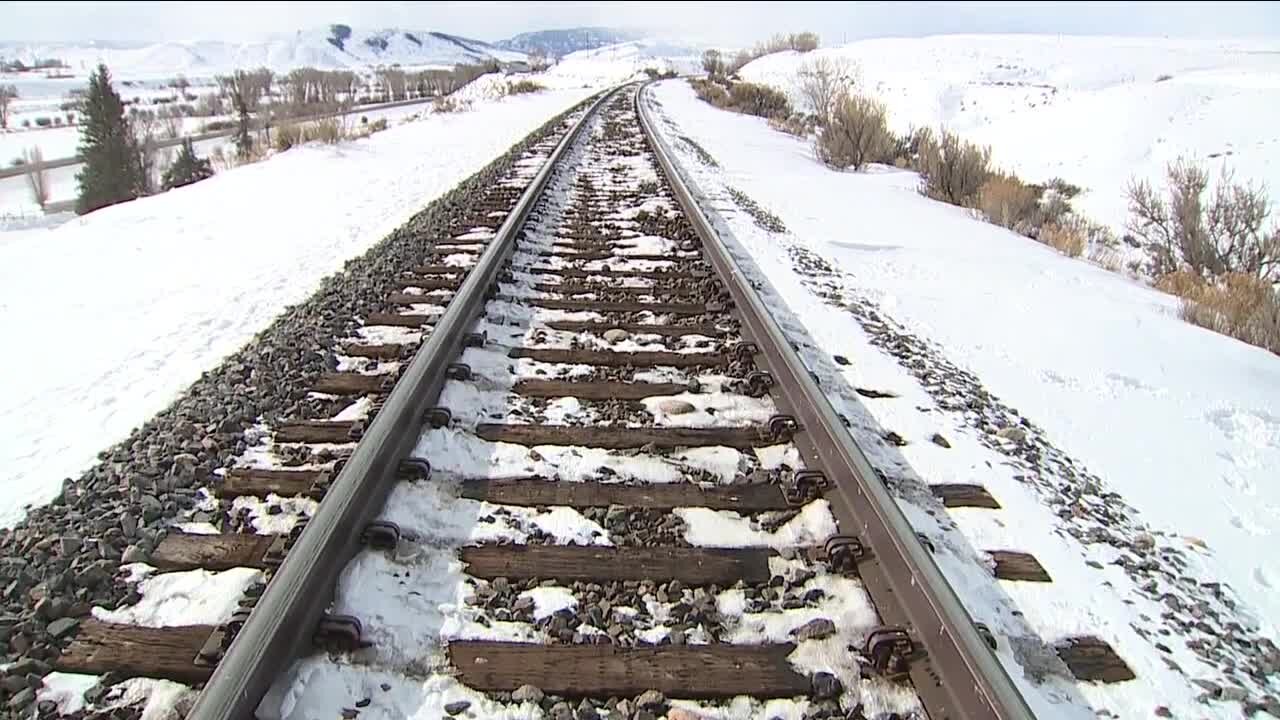 Colorado mountain residents say trains are killing wildlife at alarming numbers