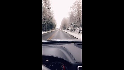 Winter Wonderland