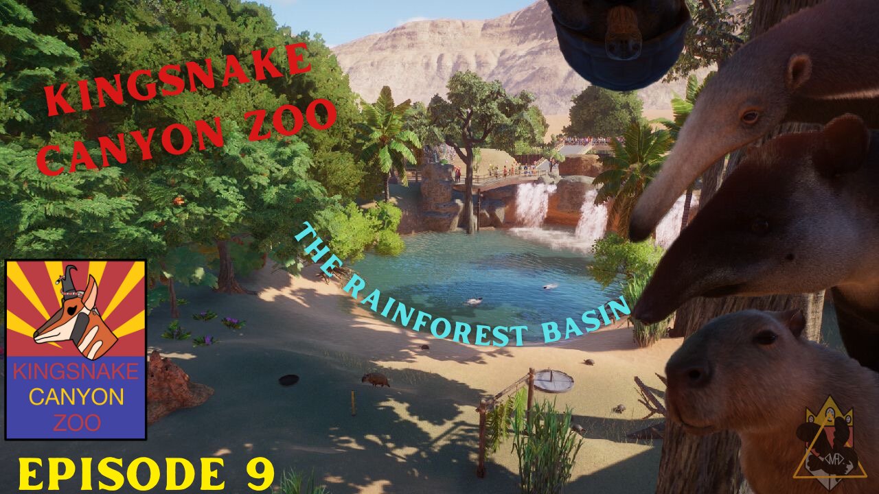 The Rainforest Basin | Kingsnake Canyon Zoo: Episode 9