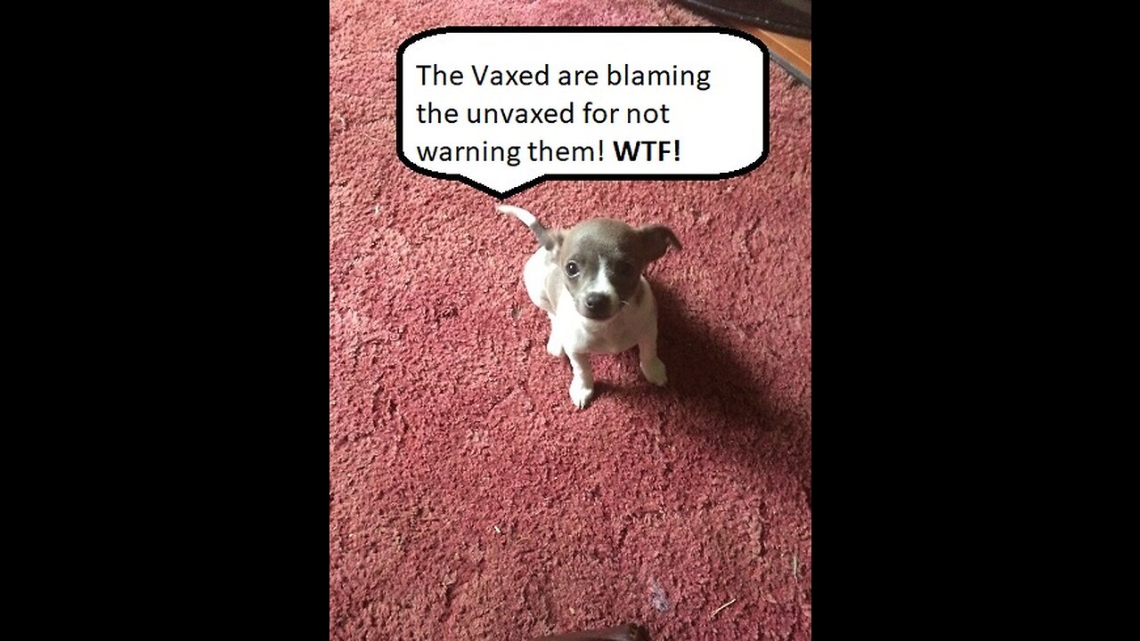 THE VAXED ARE BLAMING UNVAXED FOR NOT WARNING THEM ABOUT THE KILL SHOT!