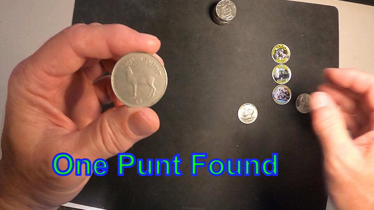 One Punt Found While Half Dollar Searching