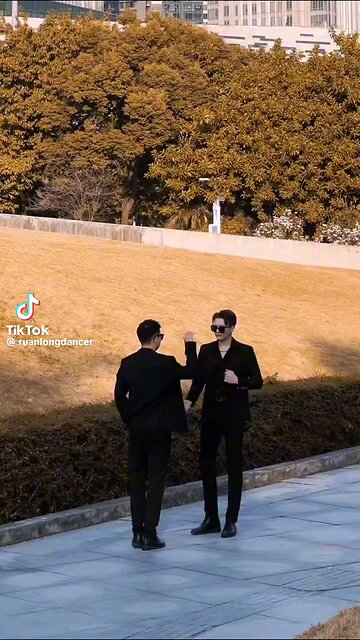 Memories in Motion" Video Description (VD): "Join us as we bring to life the emotional journey of '