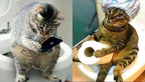 Pet parade of Laughs