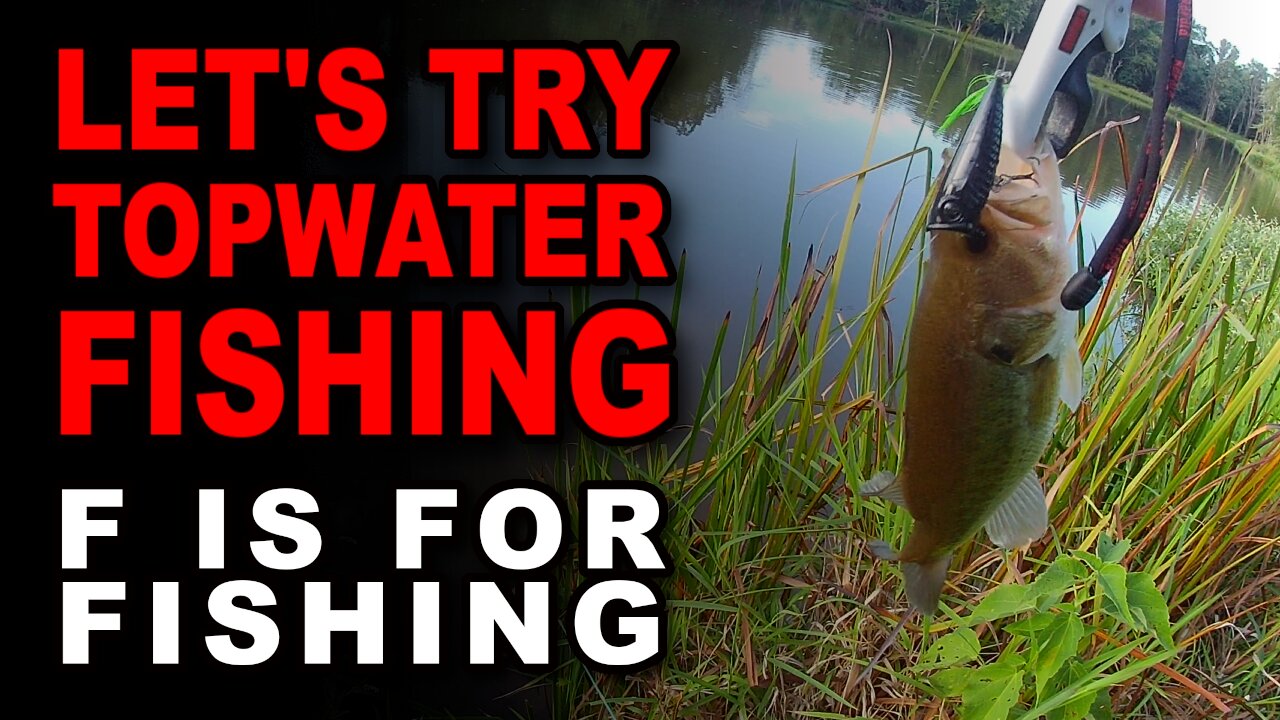 Let's Try Topwater Fishing