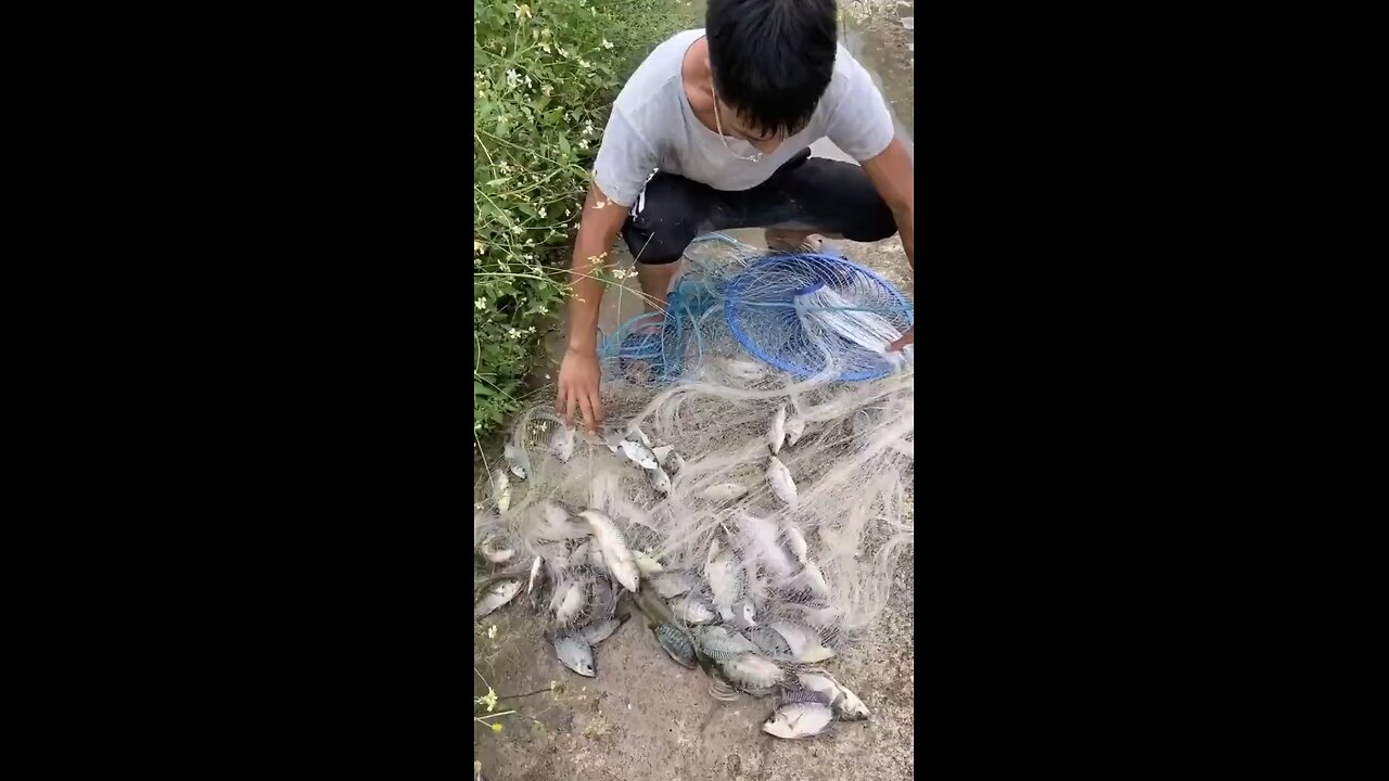 Amazing Fishing