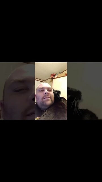 Am I a hufflepuff kitty? #shortsvideo #shortsfeed #youtubeshorts #catvideos #cat