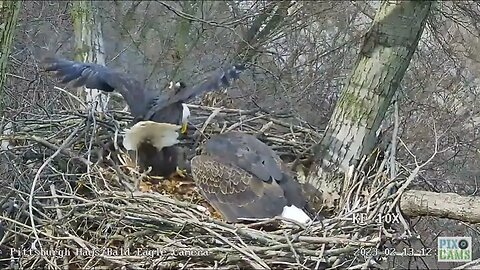 Hays Eagles Mom Food Siren for Dads Gift Fish 2023 02 13 12:36
