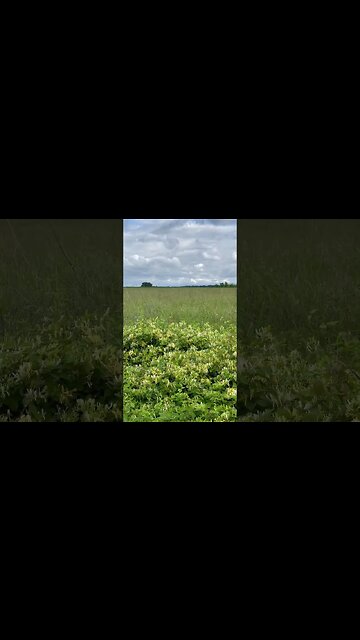 Here’s your reminder…