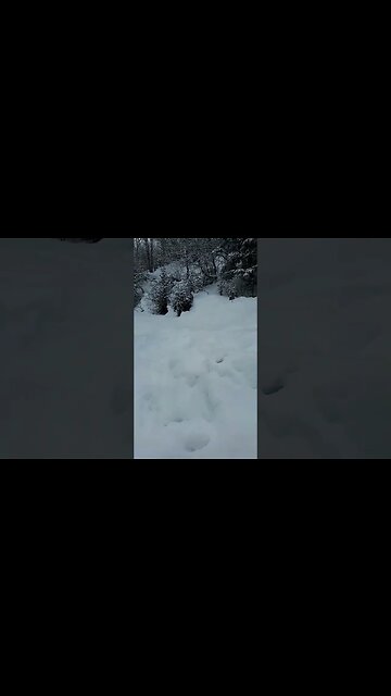 Lets Build Alaska Backyard Terrain Park! #alaska #snow #snowboarding