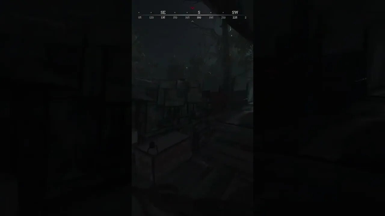Sweet flick! please watch the full video on my channel #huntshowdown #shorts #shortsfeed #winfield
