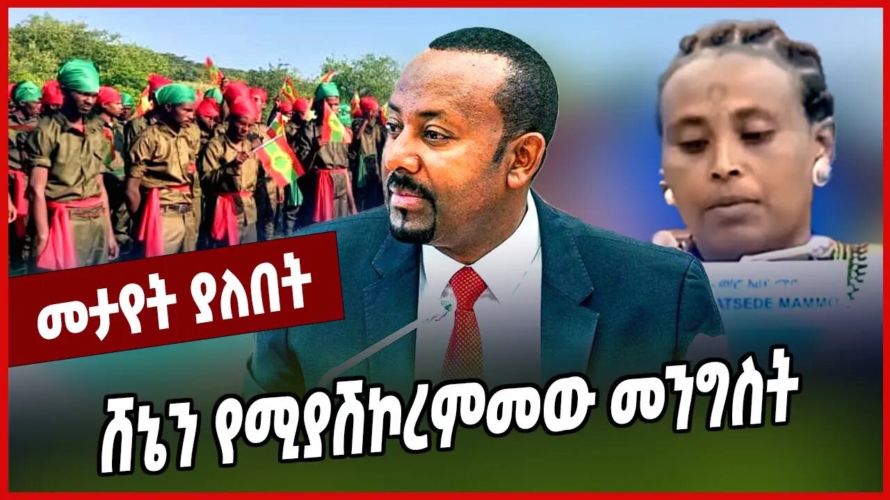 ሸኔን የሚያሽኮረምመው መንግስት... Abiy Ahmed | Oneg Shene | Amhara | Oromia | Ethiopia