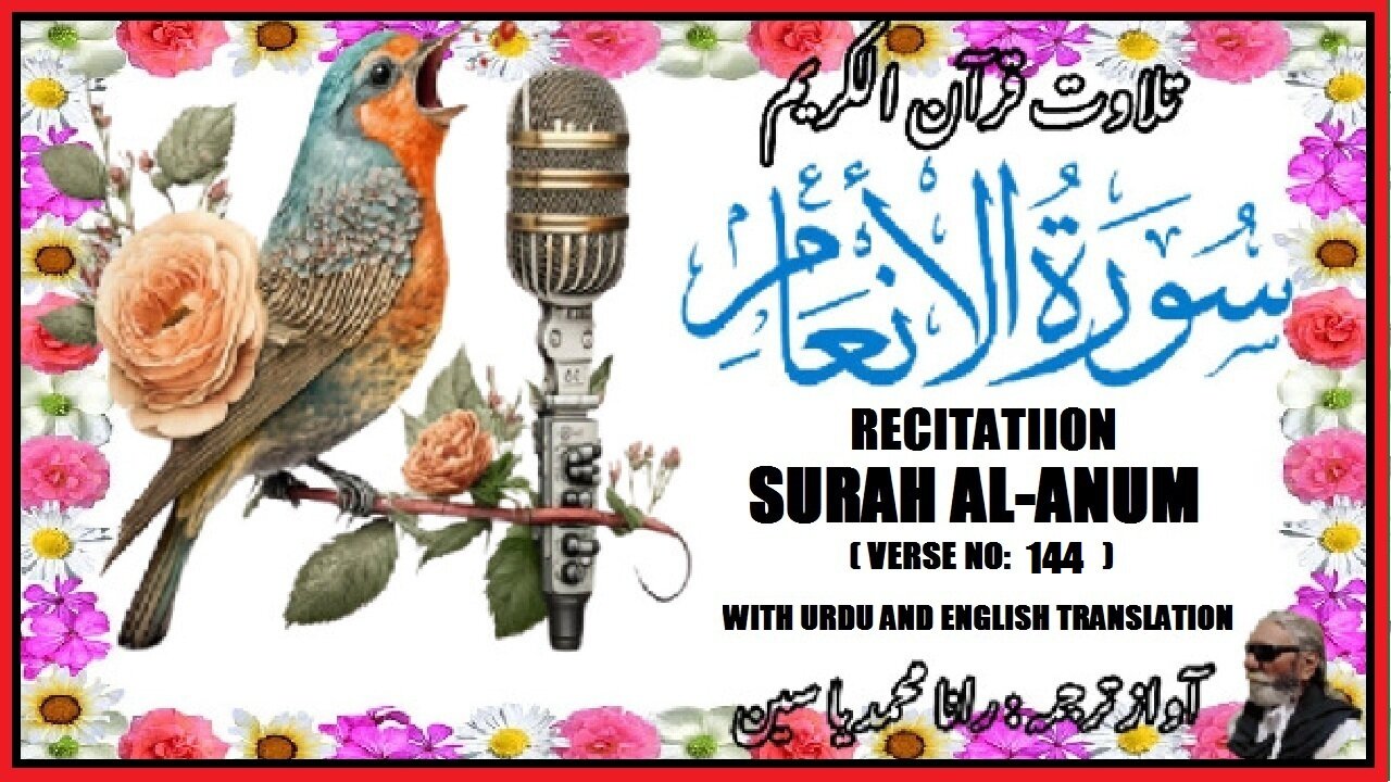 Recitation Surah Al Anum Verses No.144 تلاوت سورہ اَلْاَ نْعَام اردو انگریزی ترجمہ کے ساتھ آیت نمبر