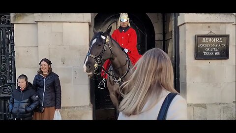 The Horse tries to bite her so she waggs her finger at him #horseguardsparade